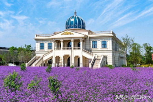 农家亲子乐园十大排行榜(农家亲子乐园)插图23
