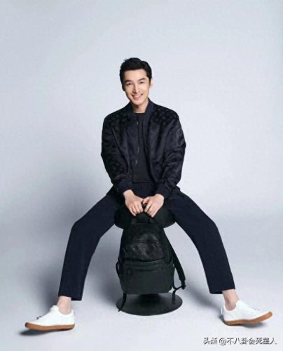 十大不婚男明星排行榜(中国最美十大明星)插图