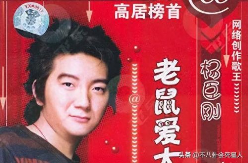 中国十大最恶心歌曲排行榜(中国最饱受争议的歌曲)插图26