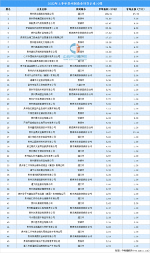 贵州省十大投资企业排行榜(贵州投资公司)插图