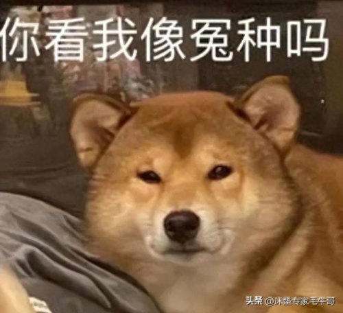 床垫十大品品牌排行榜卧虎(十大品牌床垫)插图17