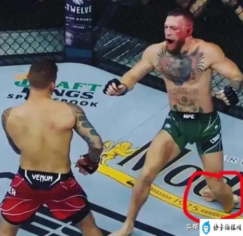 ufc最新比赛今天(ufc手游)插图18