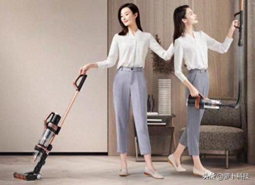 昆明吸尘器十大品牌排行榜(车用无线吸尘器十大品牌)插图5