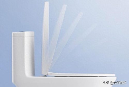 家用马桶品牌十大排行榜(买马桶选什么品牌较好)插图15