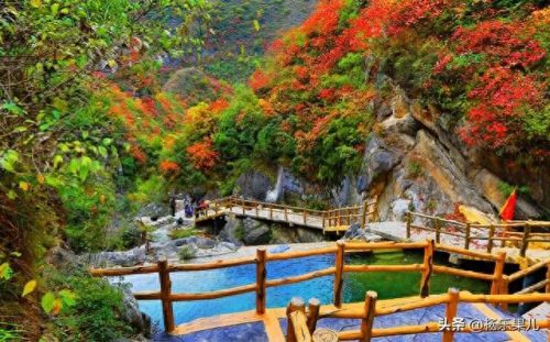 搜索商洛市十大景点排行榜(商洛一日游景点大全)插图32