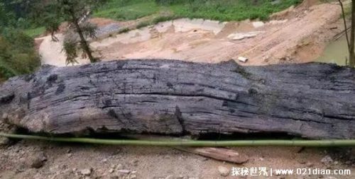 乌木价格多少钱一斤(沉香木多少钱一斤)插图