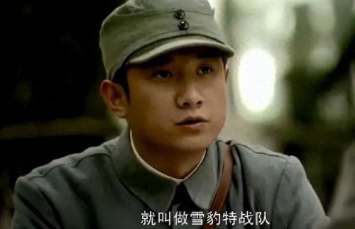 十大军人电视剧排行榜(50部特警电视剧)插图16
