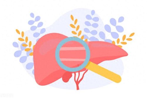 养肝药十大名牌排行榜(十大养肝中成药)插图