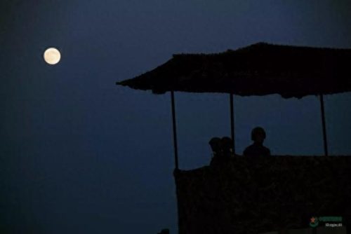 十大经典军旅歌曲排行榜(二十首霸气战歌)插图25
