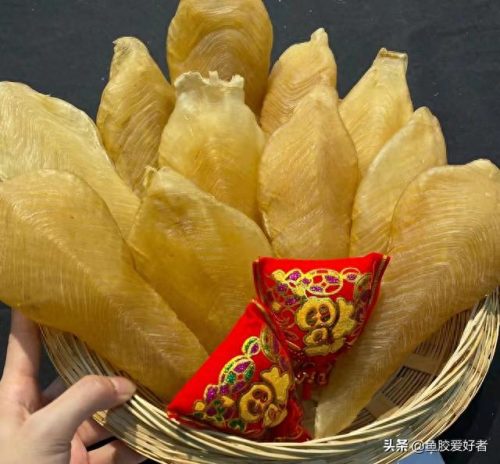 什么是鱼胶十大鱼胶排行榜(巴沙鱼鳔价格)插图3
