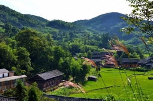 怀化地固十大排行榜(怀化必买的十大特产)插图15