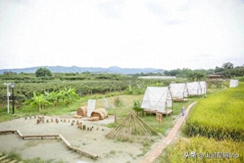 农家亲子乐园十大排行榜(农家亲子乐园)插图18