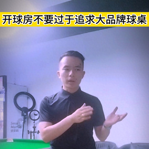 十大品牌桌球桌排行榜价格(桌球桌品牌排行榜)插图2