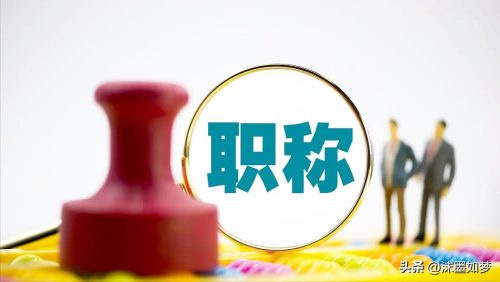 个人简历里的职称怎么填(简历里的职称填什么)插图