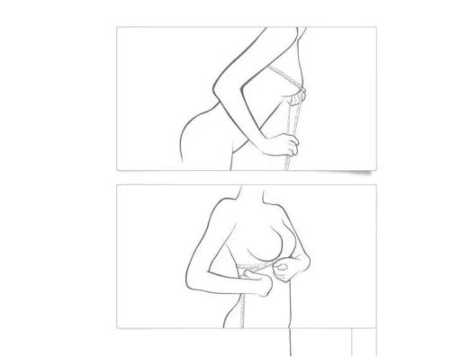 c号罩杯对照图(c码罩杯算不算大)插图1