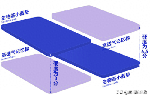 寝具十大排行榜有哪些(全球寝具十大品牌)插图3