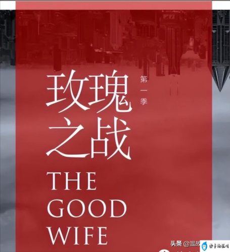 2020年电视剧清单(2022年07月待播电视剧)插图7