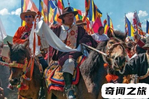 猪不喜欢的气味(猪的外形特点和生活习性句子)插图