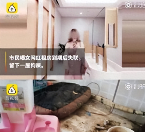 十大网红名媛排行榜最新(江苏抖音十大网红)插图47