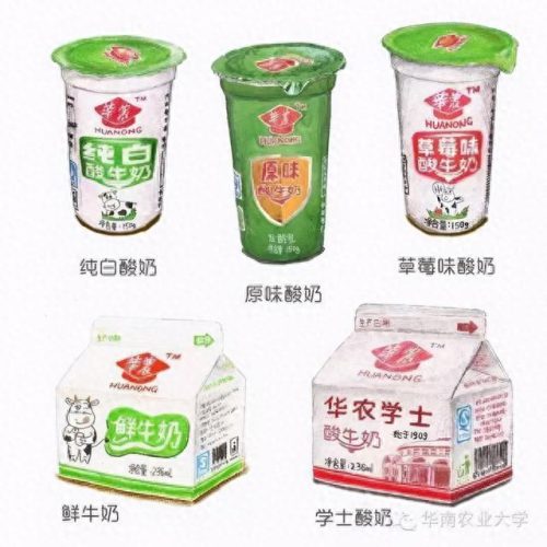 中国十大放心酸奶排行榜(老年人喝啥酸奶)插图7