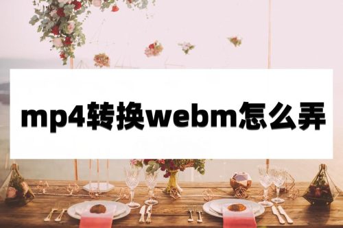 webm转换mp4的免费方法(webm如何转换成mp4格式)插图