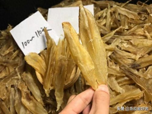 什么是鱼胶十大鱼胶排行榜(巴沙鱼鳔价格)插图9