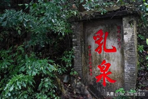 贵港市十大旅游景点排行榜(贵港值得去玩的四个地方)插图42