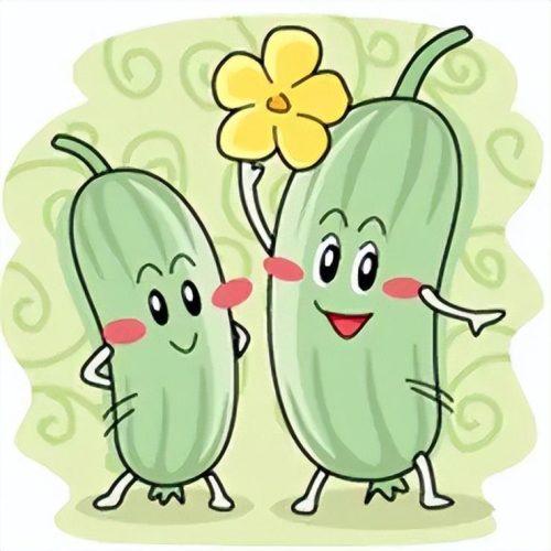 北瓜的恐怖传说(北瓜的恐怖简介)插图