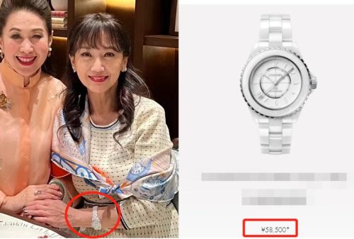 62岁赵雅芝老成什么样(60多岁赵雅芝)插图5