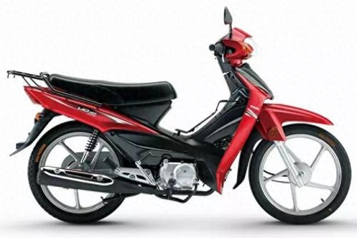 国内十大弯梁车品牌排行榜(十大最耐用弯梁车)插图10