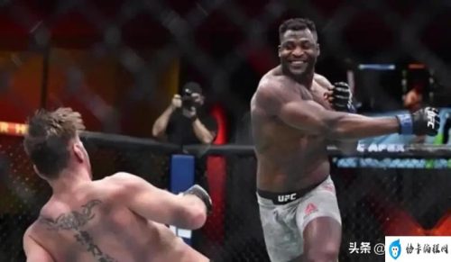 ufc最新比赛今天(ufc手游)插图11