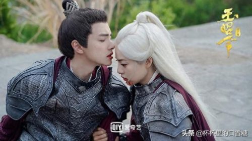 十大垃圾古装剧排行榜最新(十大古装武打片)插图7