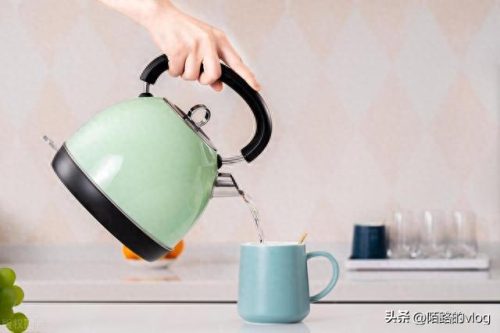电热水壶十大品牌排行榜(烧水壶哪个品牌好)插图