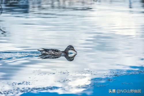塞外草原第一城(亚洲最大城中草原在哪)插图3