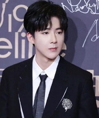 十大网红洗脑歌手排行榜(十大顶尖音乐洗脑神曲)插图5