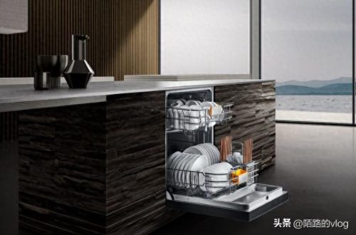 节能洗碗机排行榜十大品牌(水槽洗碗机前十大品牌)插图1