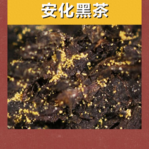 中国十大茶叶品牌及价位排行榜(哪个茶叶品牌比较好)插图