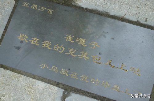 各地方言经典方言(各个地方经典方言)插图4