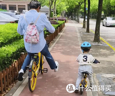十大平衡车网红排行榜(网红小车平衡车)插图16