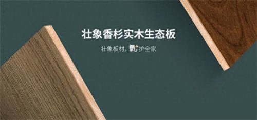 免漆生态板十大品牌排行榜(生态板十大品牌)插图5