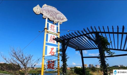 80斤石斑鱼能卖多少钱(最普通的石斑鱼30斤卖多少钱)插图8