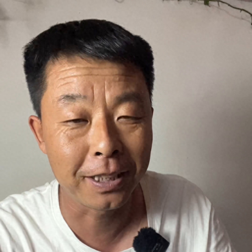 利润最高的十大车型排行榜(十大最好的6at车型)插图1