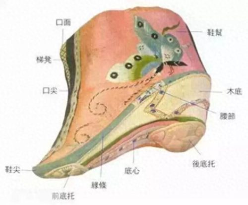 中国古代十大冰箱排行榜(双开门冰箱十大排名)插图16