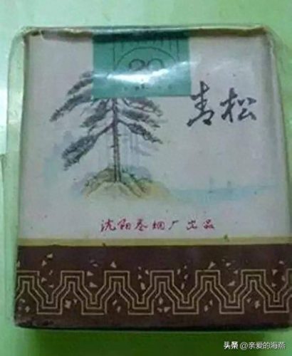 中国烟十大排行榜2015(中国名牌烟排行榜)插图24