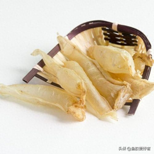 什么是鱼胶十大鱼胶排行榜(巴沙鱼鳔价格)插图8