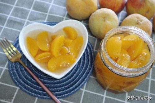 零食罐头十大品牌排行榜(猫主零食罐头排行榜)插图