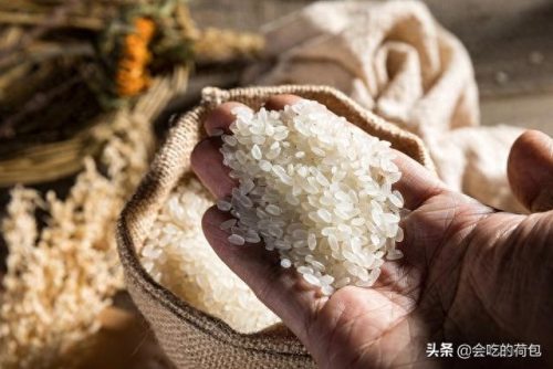 国产做饭机十大排行榜(国产十大净水器最新排名)插图3