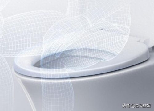 家用马桶品牌十大排行榜(买马桶选什么品牌较好)插图16