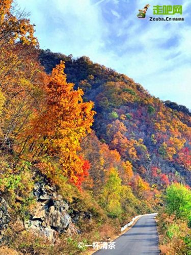 11月旅游十大排行榜(8月份旅游热门排行榜)插图8