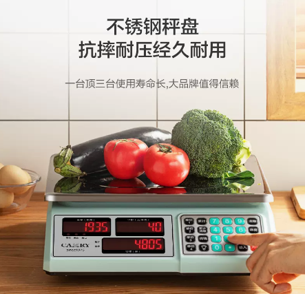 中国十大电子秤排行榜品牌(中国十大品牌前10名的电子秤)插图1
